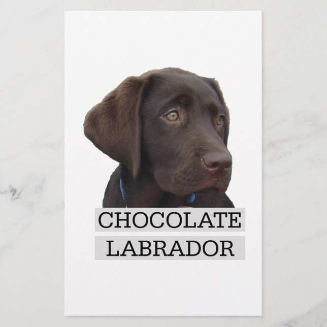 Lámina ¡Diseño único de Chocolate Labrador! (Anverso)