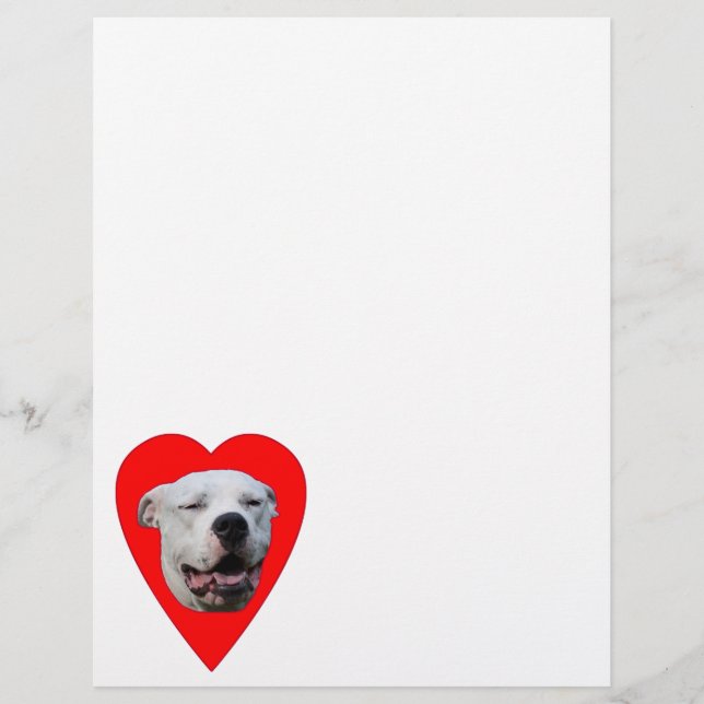 Lámina Dogo Argentino sonriente (Anverso)