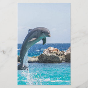 Lámina Dolphin Bottlenose