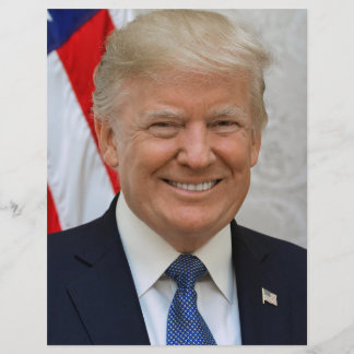 Lámina Donald Trump