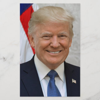 Lámina Donald Trump