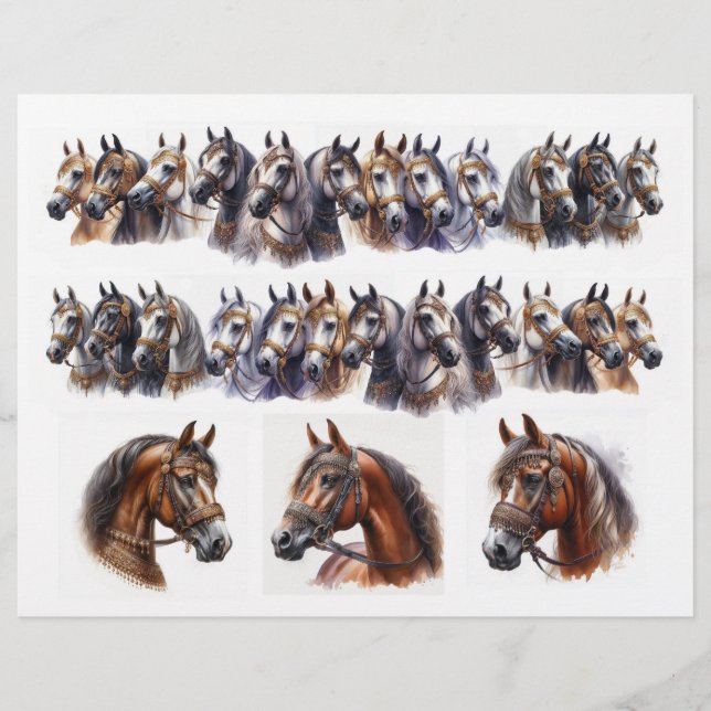 Lámina Dos filas más 3 caballos únicos y hermosos (Anverso)