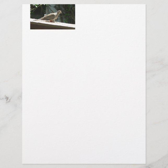 Lámina Dove de duelo (Anverso)