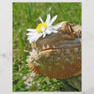 Lámina Dragón barbudo