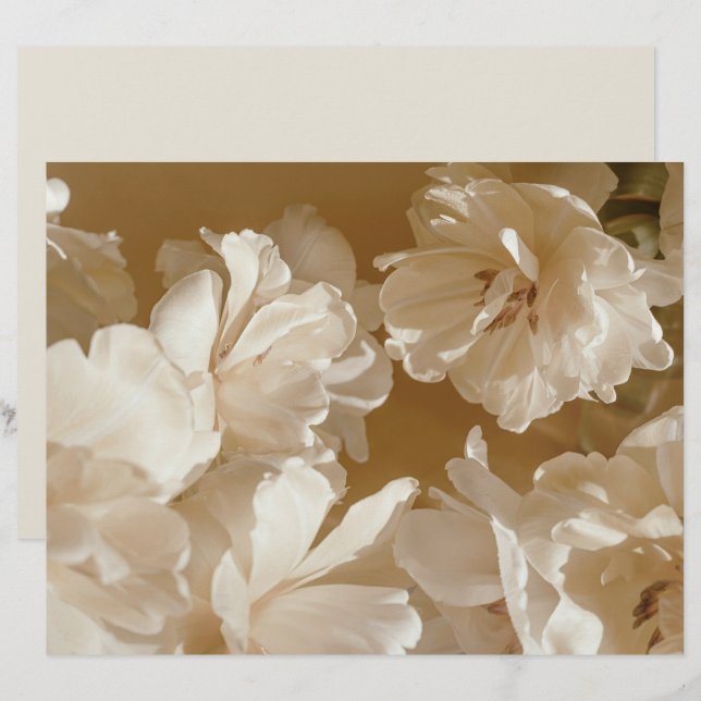 Lámina Dreamy beige floral Elegant Scrapbook Paper (Anverso / Reverso)