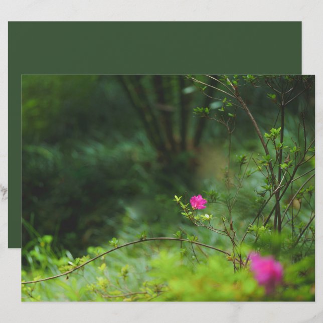 Lámina Dreamy forest flower Scrapbook Paper (Anverso / Reverso)