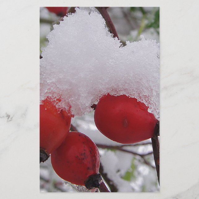 Lámina Drei Hagebutten mit Schnee (Anverso)