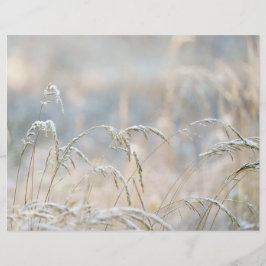 Lámina Dremy Winter Nature Scrapbook paper