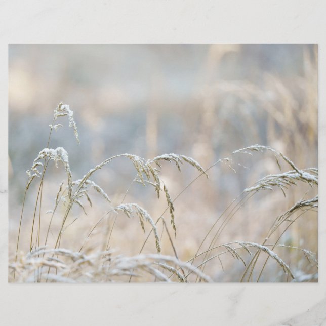 Lámina Dremy Winter Nature Scrapbook paper (Anverso)