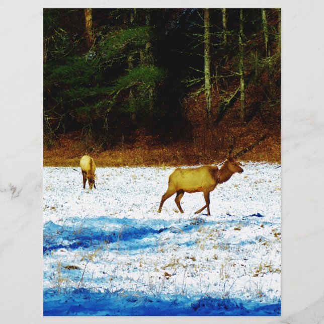 LÁMINA DSC00131.JPG (Anverso)