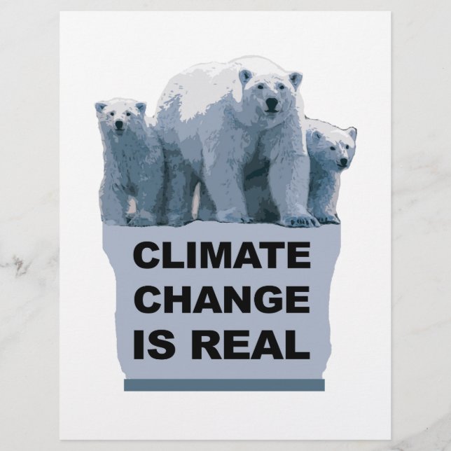 LÁMINA EL CAMBIO CLIMÁTICO ES REAL (Anverso)