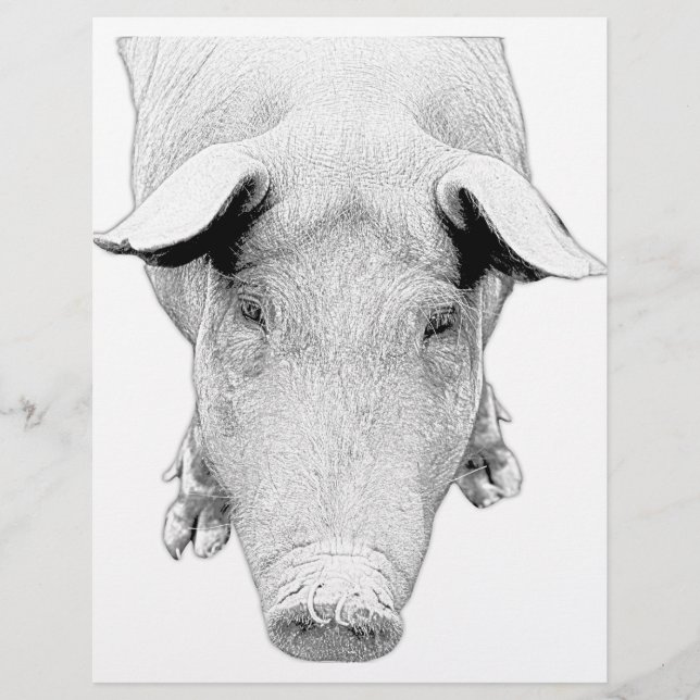 Lámina El cerdo en blanco y negro (Anverso)