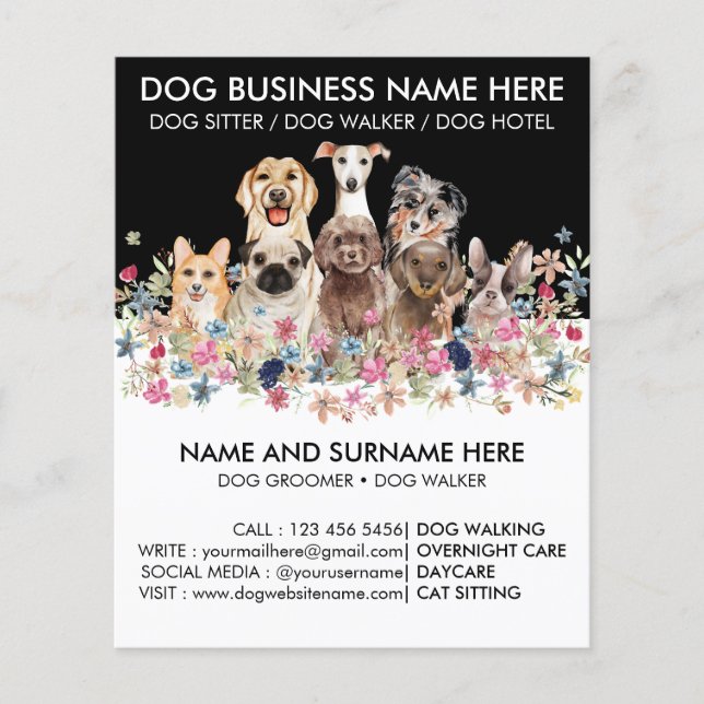 Lámina El Mascota Sitoming Grooming de la Caminata de Per (Anverso)