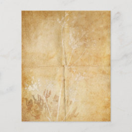 Lámina El pergamino acuático de encaje de Queen Anne