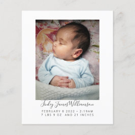 Lámina El presupuesto de las estadísticas de nacimientos