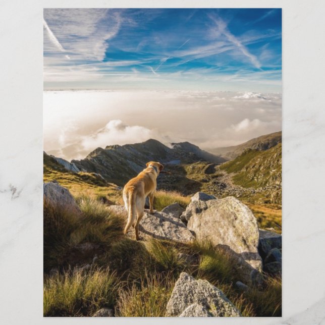 Lámina El viaje (Anverso)