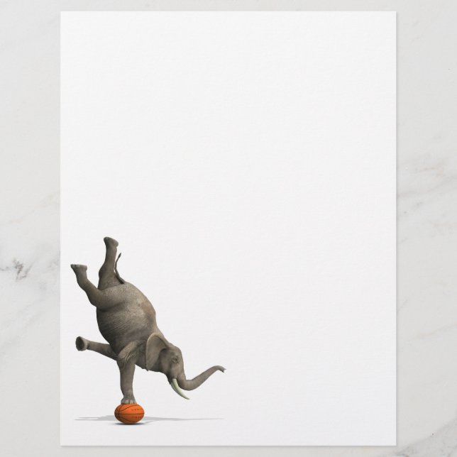 Lámina Elefante artístico (Anverso)