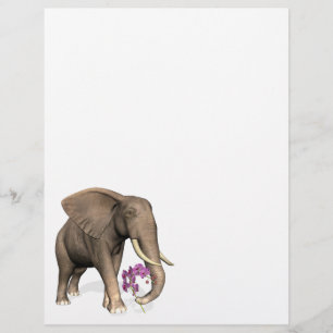 Lámina Elefante Con Orquídea Rosa