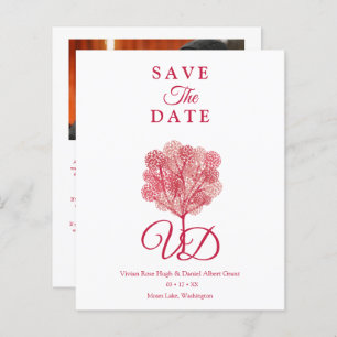 Lámina Elegant Tree Red Shades Photo Engaged Couple