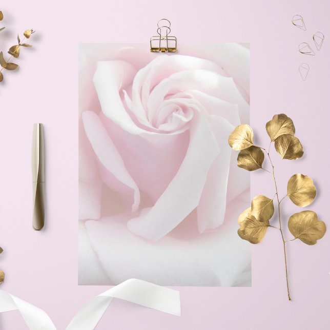 Lámina Elegante Papel de Stationery Floral con aroma rosa (In Situ)