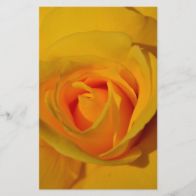 Lámina elegante y romántico Rose Amarillo (Anverso)