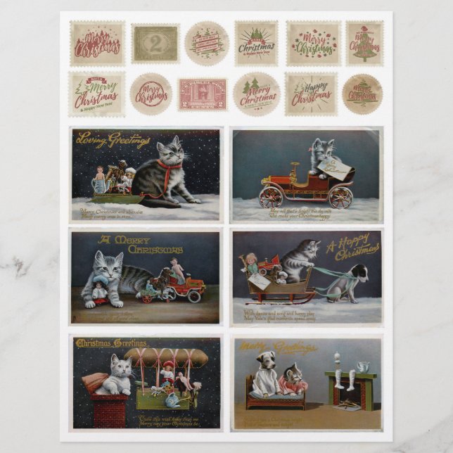 Lámina Embelleces de gatos con flores de madera con probl (Anverso)