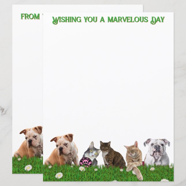 Lámina English Bulldogs and Cats Stationery (Anverso / Reverso)