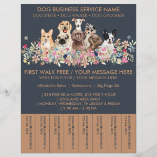 Lámina Entradas de volantes para paseadores de perros de