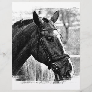 Lámina Esbozo de caballos blancos negros