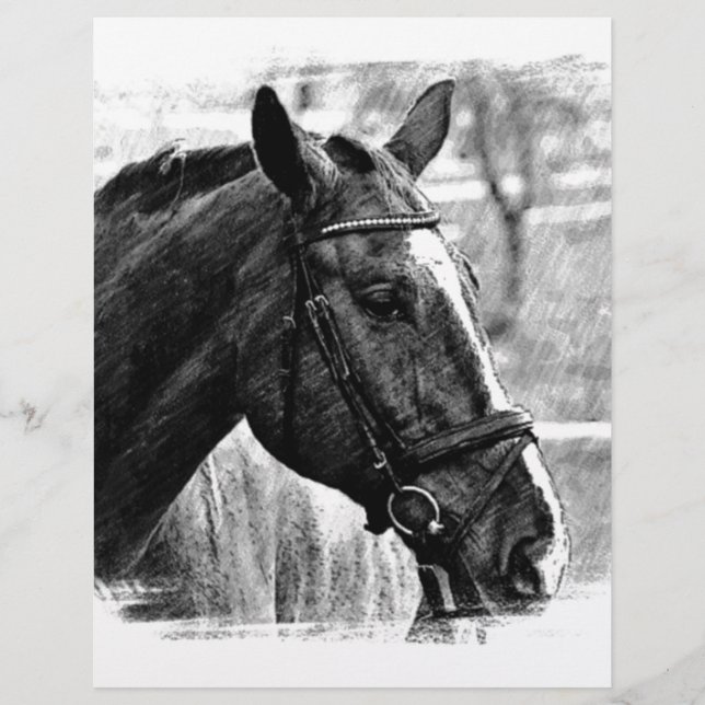 Lámina Esbozo de caballos blancos negros (Anverso)