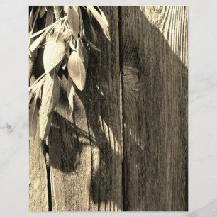Lámina Escala de grises de madera de Sage de corte fresco