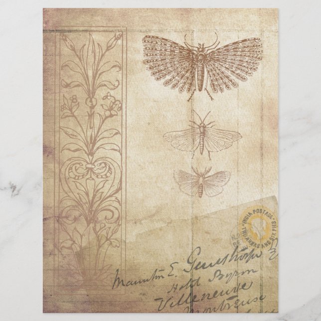 Lámina Escrapbook de estilo vintage (Anverso)