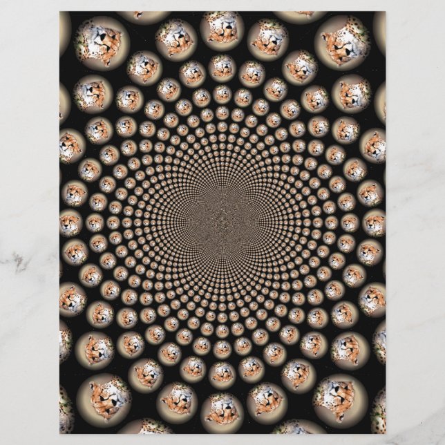 Lámina Espectáculo de espina chita - Frenzy felino: color (Anverso)