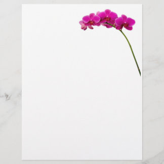Lámina Estacionario Orquídea Rosa