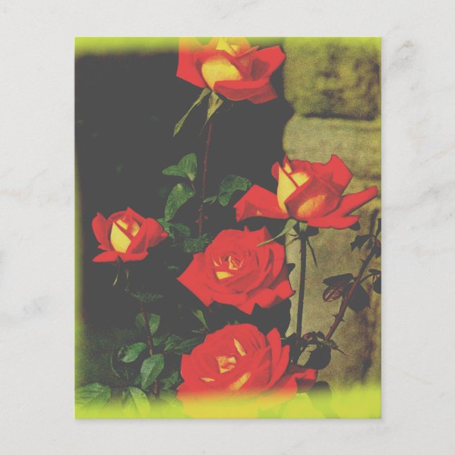 Lámina Estacionario Rosa salvaje (Anverso)