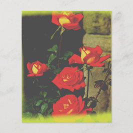 Lámina Estacionario Rosa salvaje