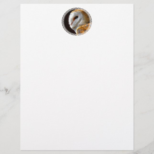 LÁMINA ESTACIONERÍA DE OWLS (Anverso)