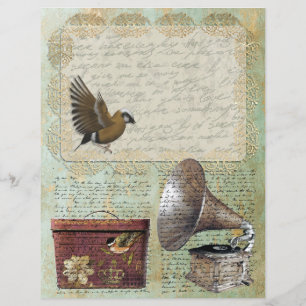 Lámina Etiqueta de encaje vintage 1837 Caja de Gorra de g
