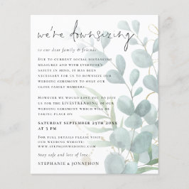 Lámina Eucalyptus Presupuestario Reducción del Boda de tr