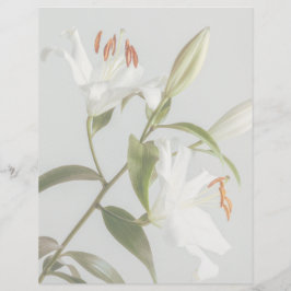 Lámina Faded white lily scrapbook paper