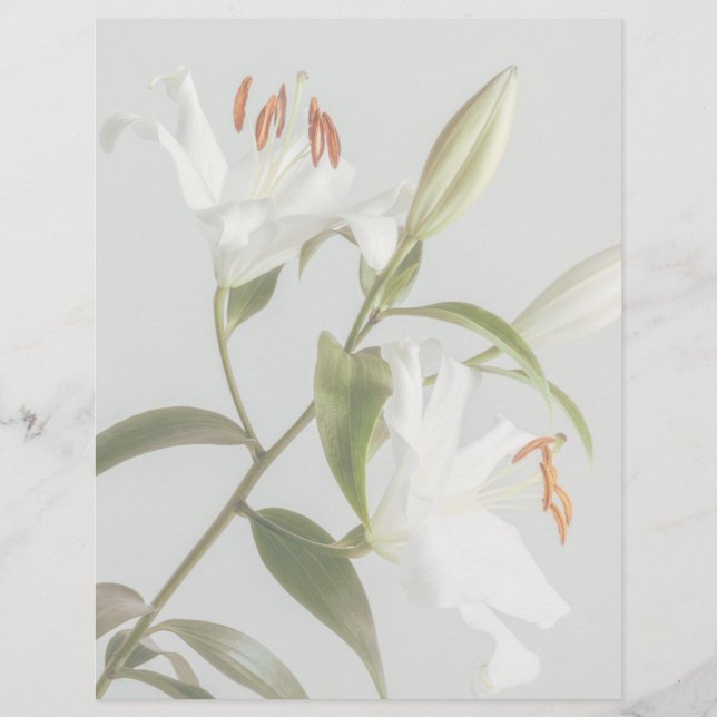 Lámina Faded white lily scrapbook paper (Anverso)