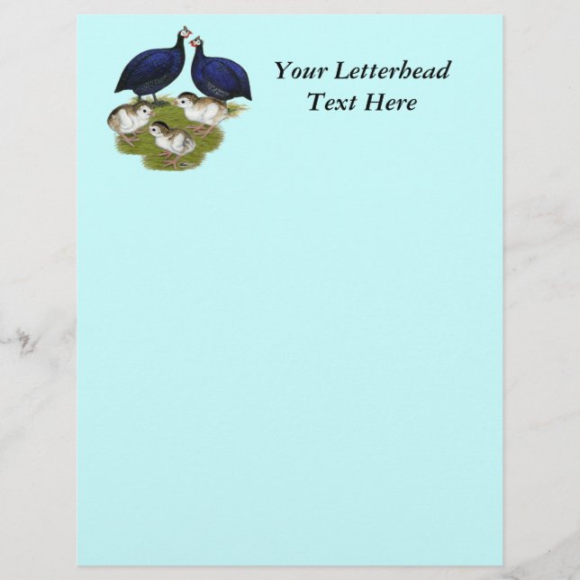 Lámina Familia Purple Guinea (Anverso)