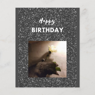 Lámina Feliz cumpleaños. Un gato con un rosa.