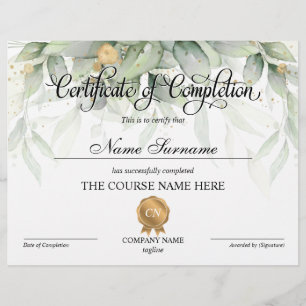 Lámina Finalización del curso de entrega de certificados