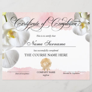 Lámina Finalización del curso de entrega de certificados