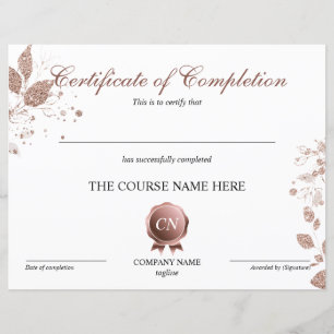 Lámina Finalización del curso de entrega de certificados