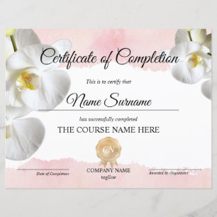 Lámina Finalización del curso de entrega de certificados