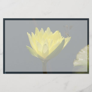Lámina Flor amarilla de agua de Lotus