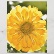 Flor amarilla de Boho