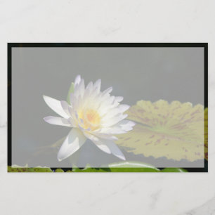 Lámina Flor blanca de agua de Lotus